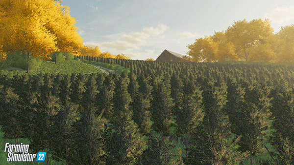 Farming Simulator 22 mods olives field, new crops
